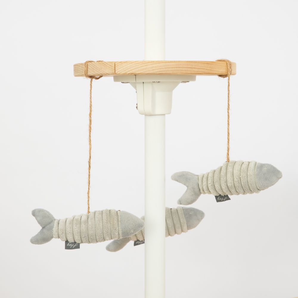 游魚玩具盤 | 自由放電好快樂