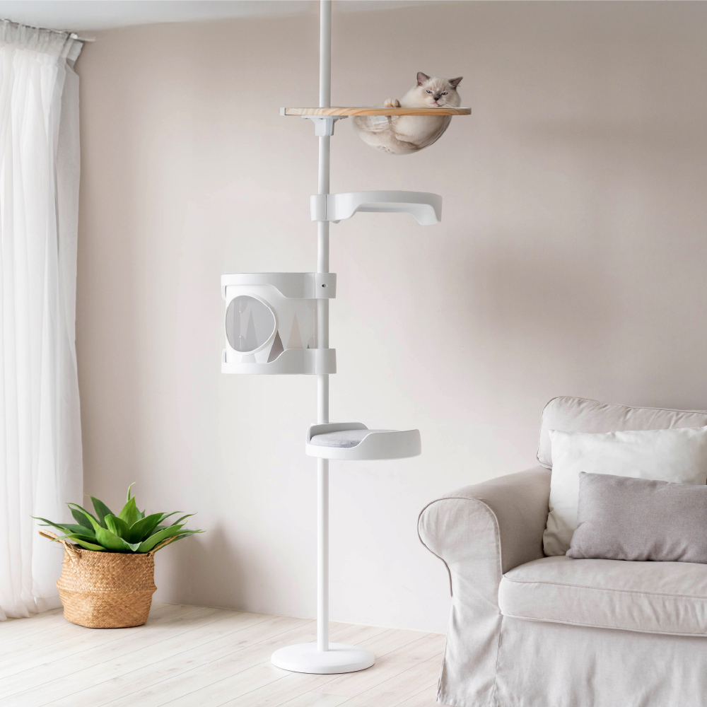 標準款+太空艙窩｜新手推薦組合