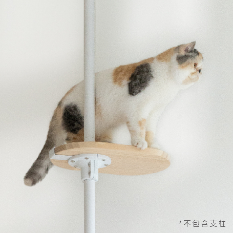 實木跳板 | 小跳板