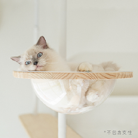 太空艙窩 | 創造最愛視角