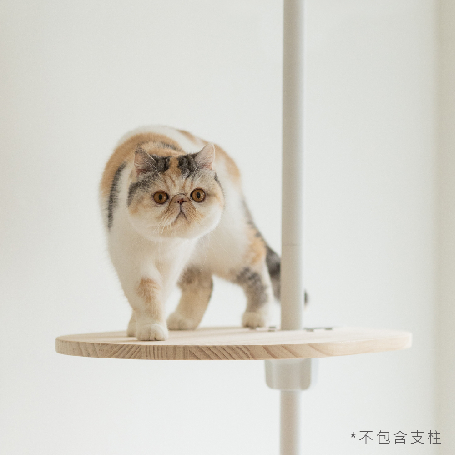 實木跳板 | 中跳板