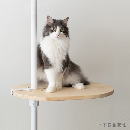實木跳板 | 量身打造貓咪動線