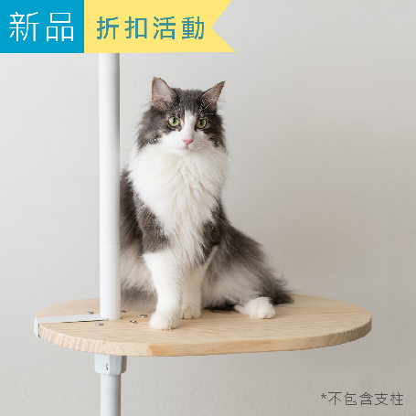 實木跳板 | 量身打造貓咪動線