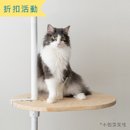 實木跳板 | 量身打造貓咪動線
