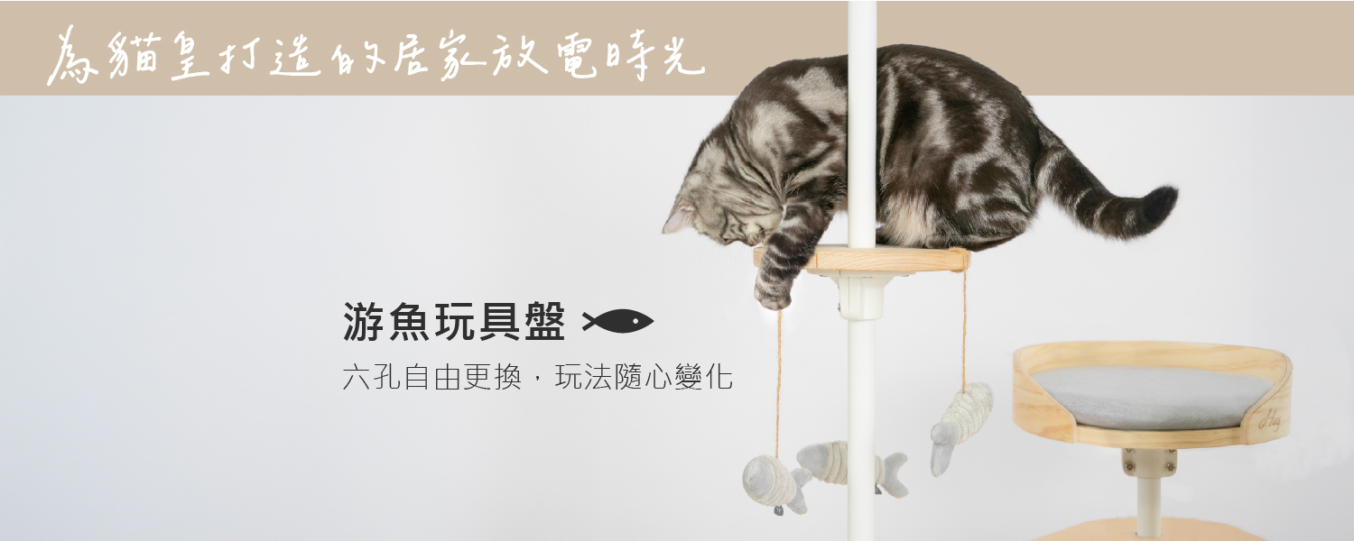 2026.01活動_游魚玩具盤