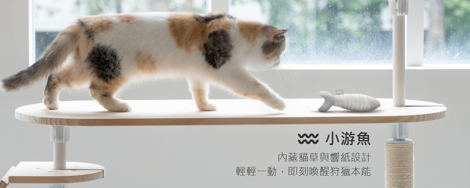 2026.01活動_小游魚