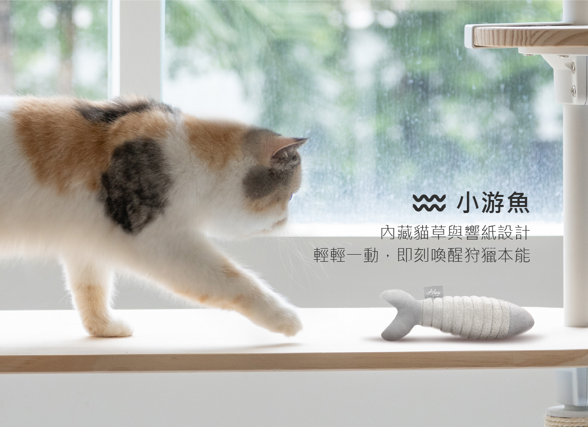 2026.01活動_小游魚_mobile3