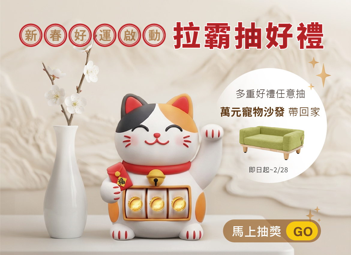 2026.02活動_Slot_mobile 