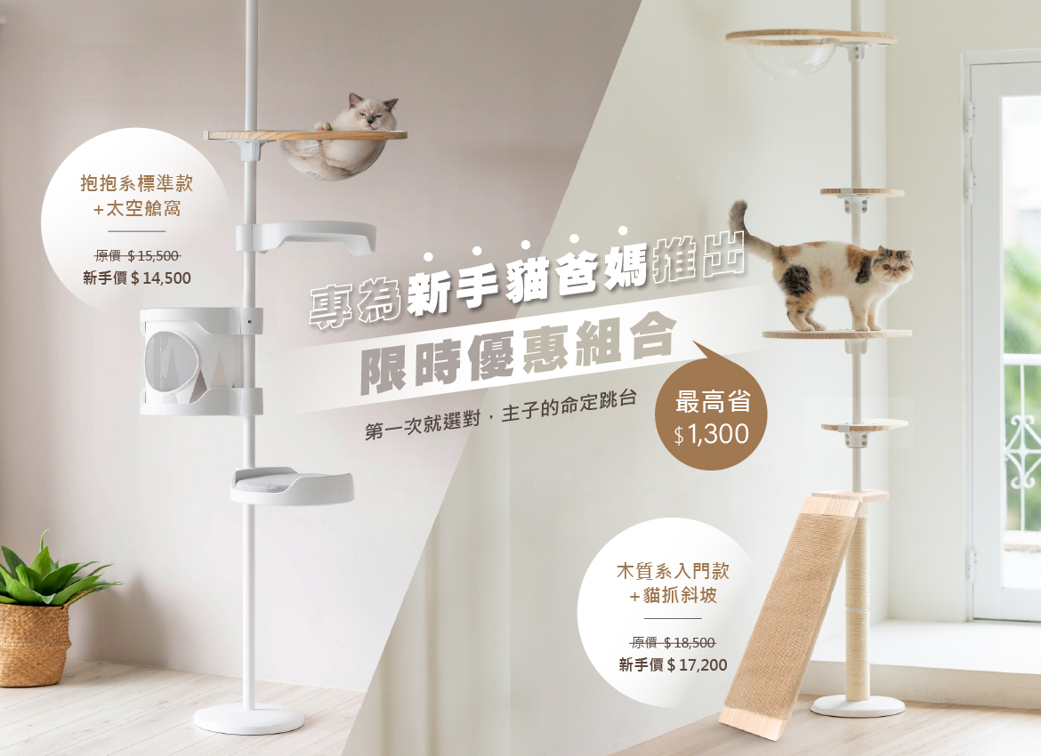 2026.02活動_新手專案_mobile